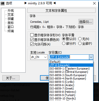 mintty中语言环境设置项